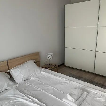Laur Apartment Timisoara
